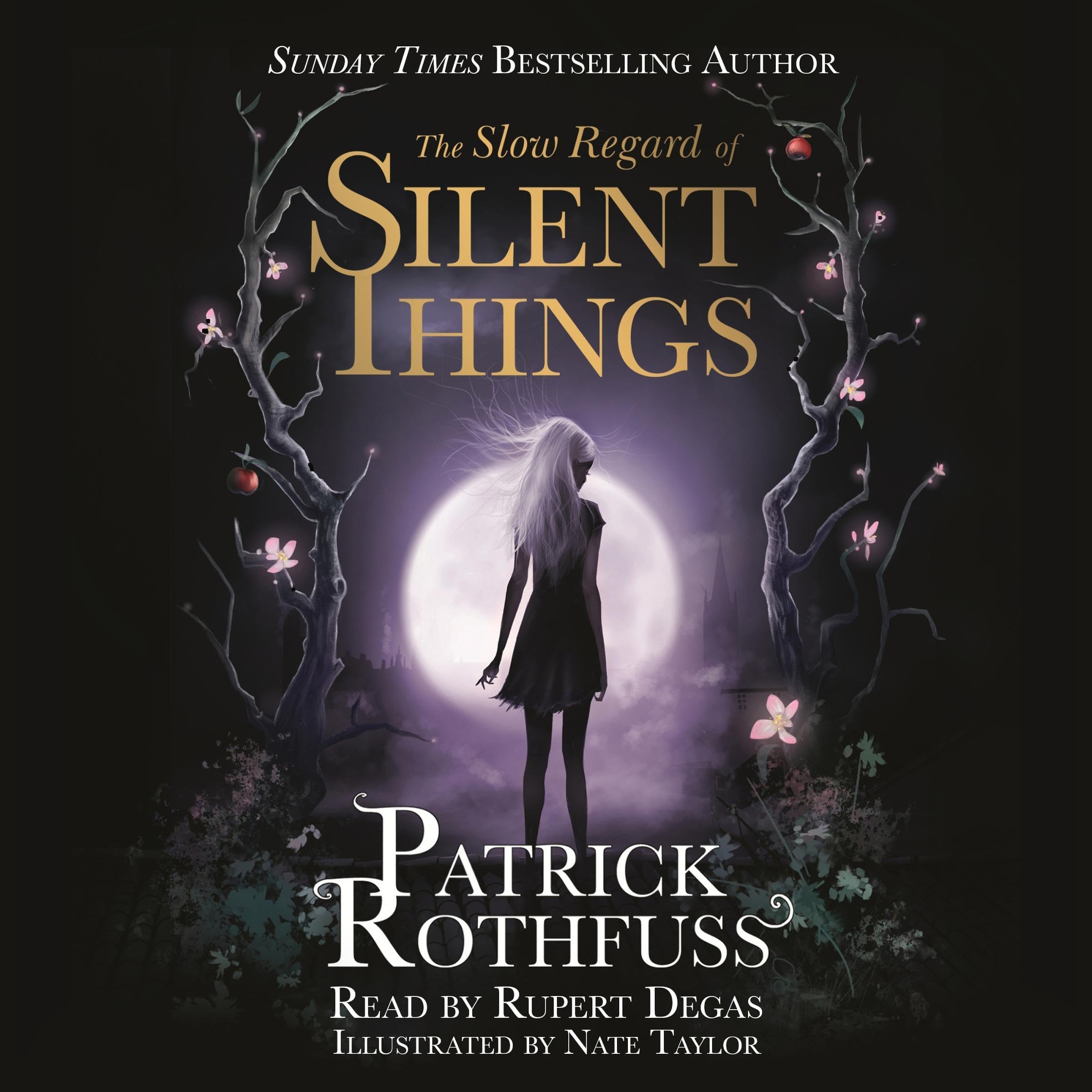 The Slow Regard of Silent Things: A Kingkiller Chronicle Novella