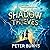 Shadow Thieves (Shadow Thie...