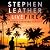 Live Fire: The 6th Spider Shepherd Thriller