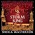 The Storm King (The Lost God #3)