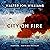 City on Fire (Metropolitan #2)