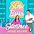 Slow Burn Summer: The new holiday romance from the bestselling author of One Day in December