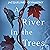 A River in the Trees