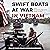 Swift Boats at War in Vietnam