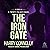 The Iron Gate: A Twenty Palaces Novel, Book 4