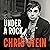 Under a Rock by Chris Stein