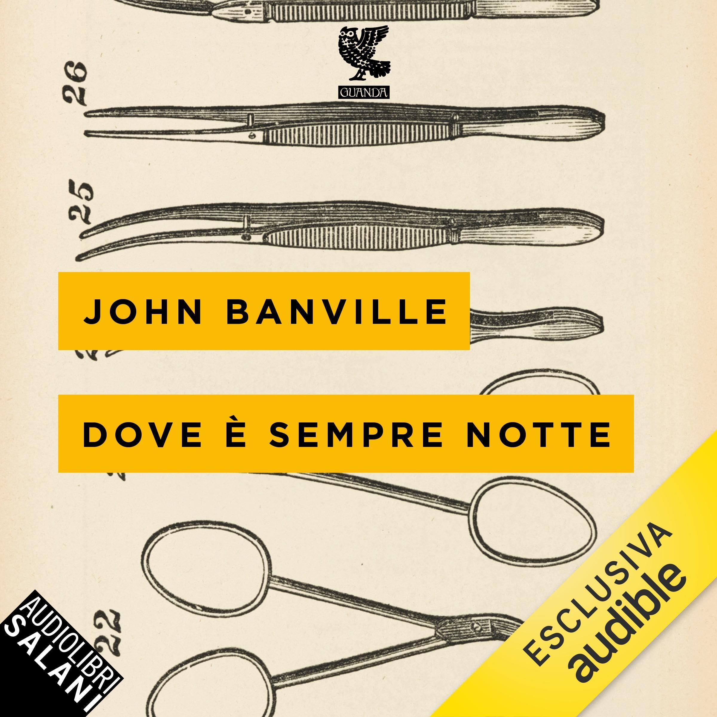 Dove è sempre notte: I casi di Quirke, anatomopatologo - Vol. 1 (Audible Audio)