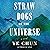 Straw Dogs of the Universe by Ye Chun