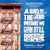 A Bird in the Air...