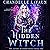 The Hidden Witch: The Coven: Academy Magic, Book 1