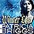 Winter Lost (Mercy Thompson, #14)