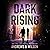 Dark Rising (The Shepherds #4)