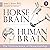 Horse Brain, Human Brain: T...