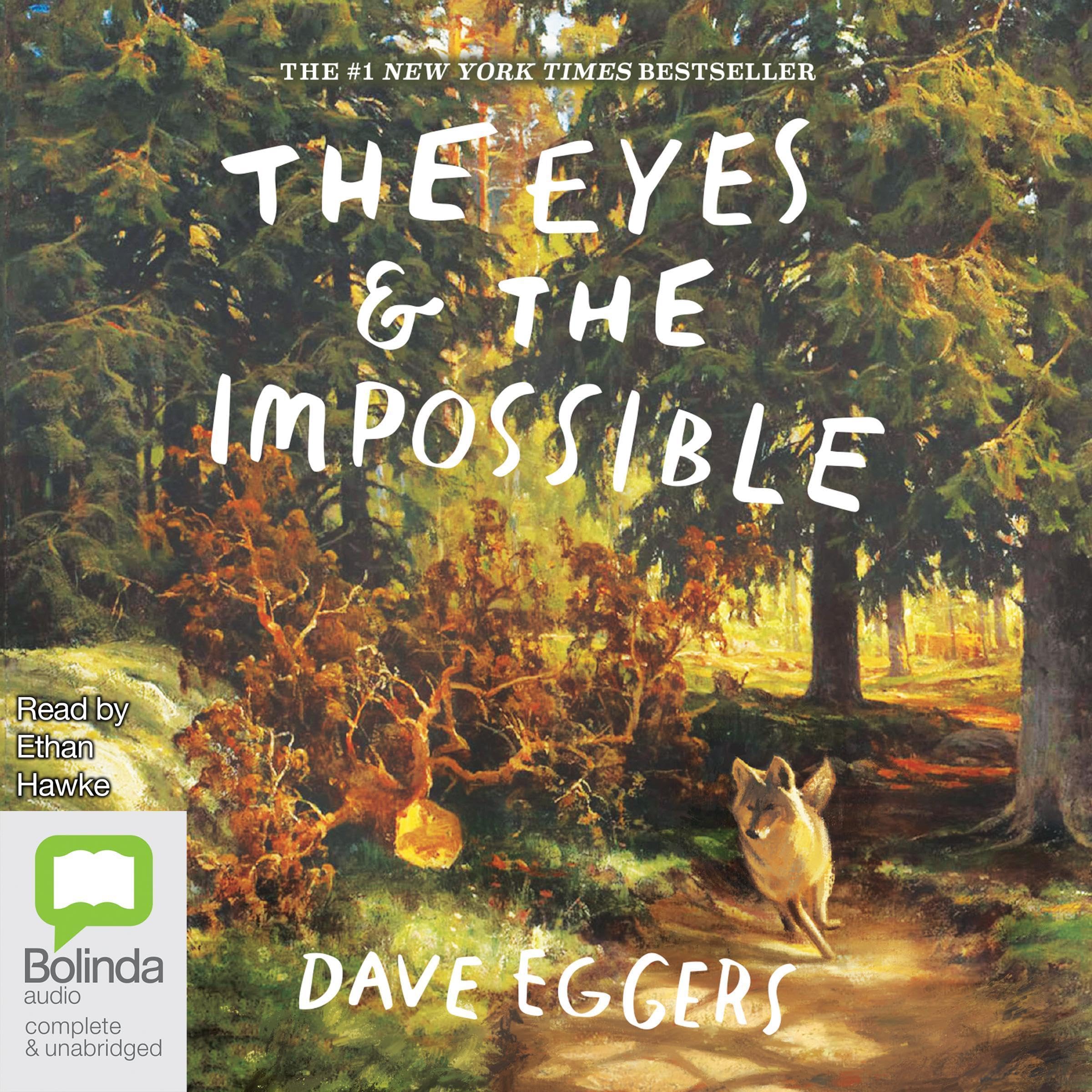 The Eyes and the Impossible