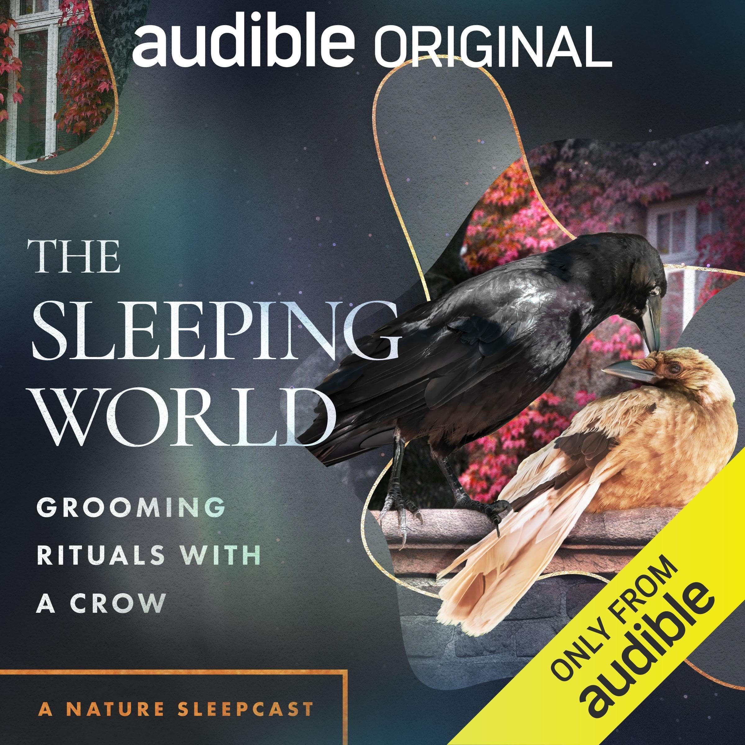 The Sleeping World: Grooming Rituals with a Crow (Audible Audio)