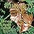 Wild Boy