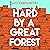 Hard by a Great Forest