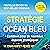 Stratégie Océan Bleu: Comment créer de nouveaux espaces stratégiques