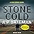 Stone Cold: Rob Stone, Book 4