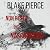 Non resta che nascondersi: Un thriller di Adele Sharp 3