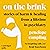 On the Brink: Stories of Harm and Healing from a Lifetime in Psychiatry