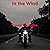 In the Wind: The Mike McDonald Action Adventure Saga, Book 2