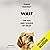 Wait: The Useful Art of Procrastination
