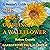 Summary: A Reader's Guide to The Perks of Being a Wallflower