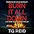 Burn It All Down: An Edge-of-Your-Seat Scottish Detective Mystery (DCI Bone Scottish Crime Thrillers, Book 7)