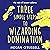 Three Simple Steps to Wizarding Domination: The Tale of Bryant Adams, Book 3