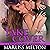 Take Cover: A Novella in The Echo Platoon Series