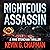 Righteous Assassin: A Mike Stoneman Thriller
