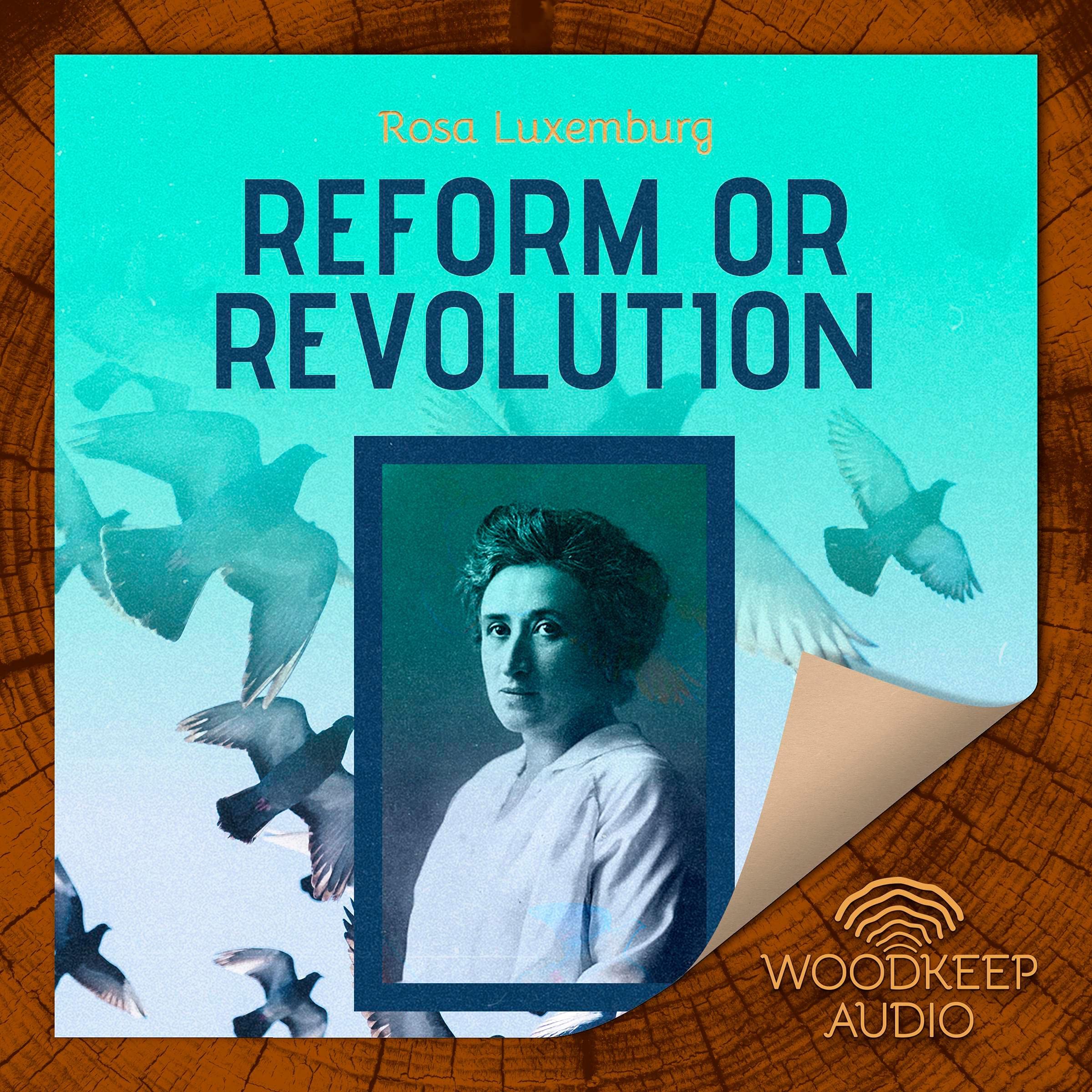 Reform or Revolution