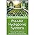 Popular Hydroponic Systems: Mastering NFT, DWC, and Aeroponics for Thriving Gardens