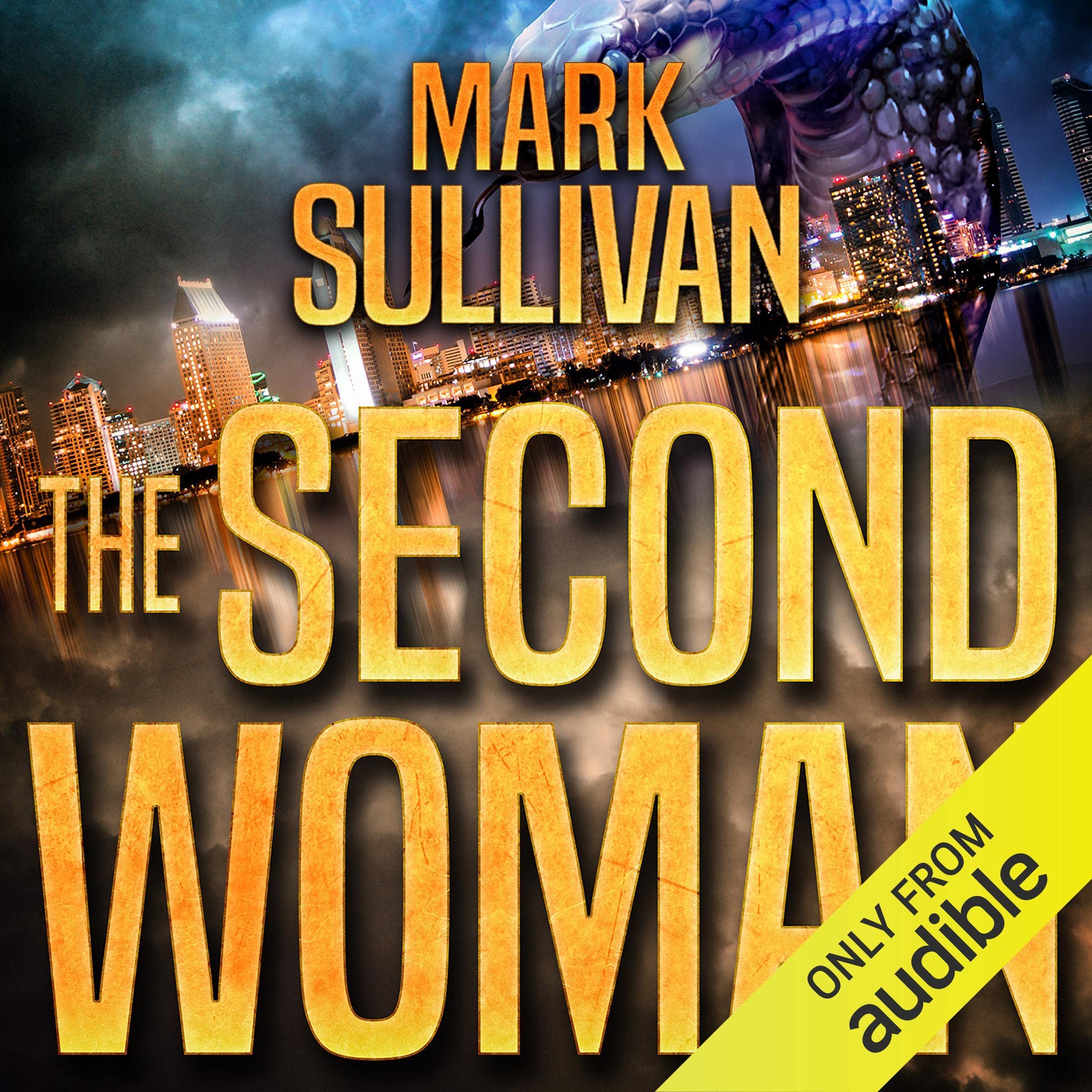 The Second Woman: A Seamus Moynihan Novel