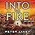 Into the Fire: The Detainee Trilogy, Book 2