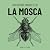 La mosca