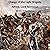 Charge of the Light Brigade
