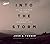 Into the Storm by Josh B. Turner