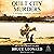 Quilt City Murders: Hadley Carroll Mysteries, Book 1