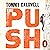 The Push: A Climber's Journey of Endurance, Risk and Going Beyond Limits to Climb the Dawn Wall