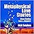 Metaphysical Love Stories About Finding Love & Answers