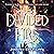 Divided Fire