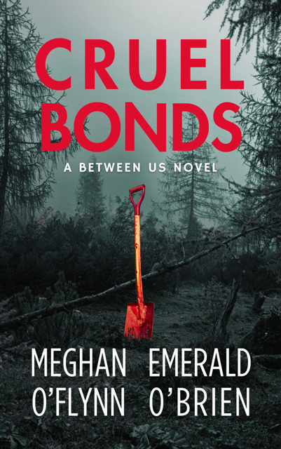 Cruel Bonds (A Between Us Novel, #1)