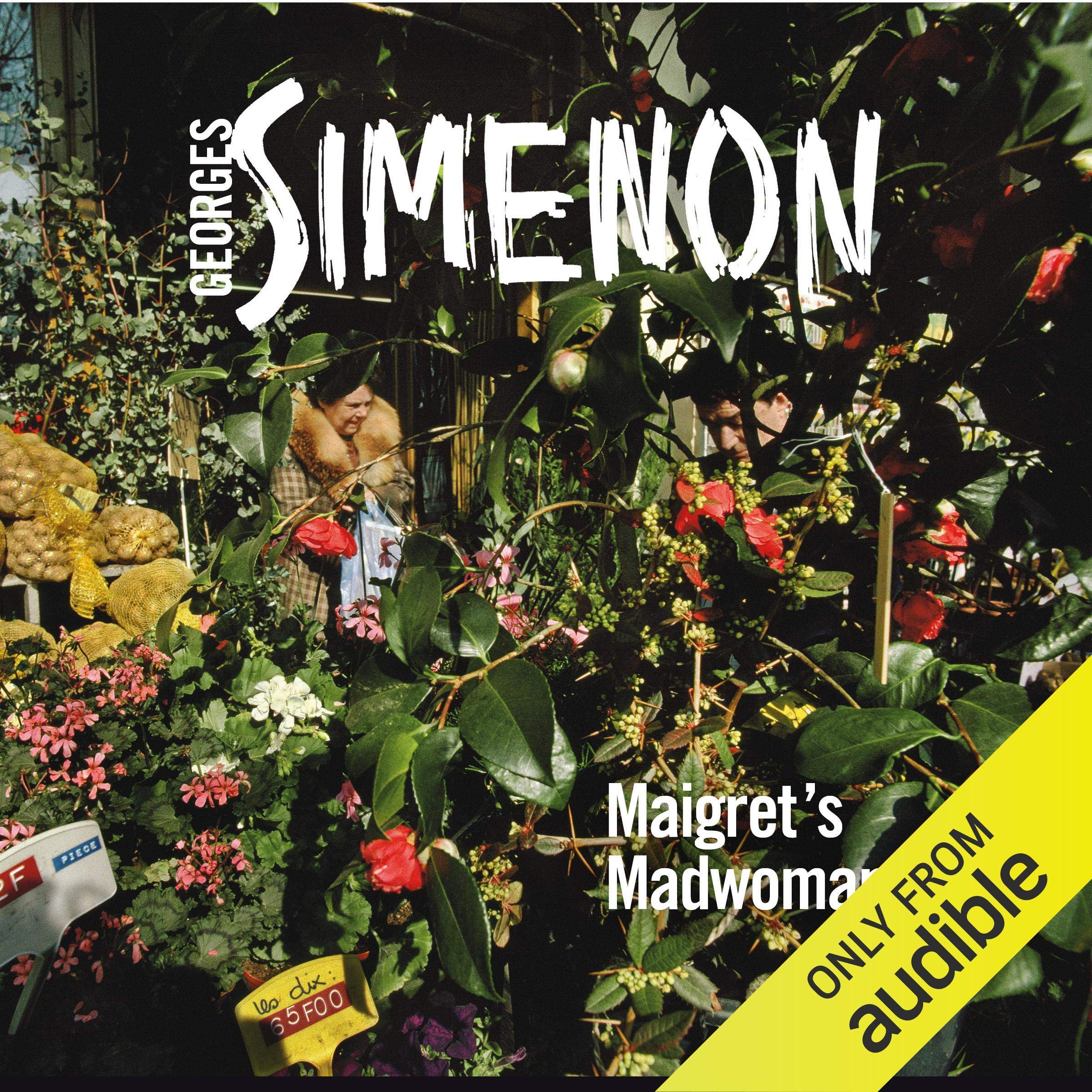 Maigret's Madwoman: Inspector Maigret, Book 72