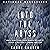 Into the Abyss: How a Deadly Plane Crash Changed the Lives of a Pilot, a Politician, a Criminal and a Cop