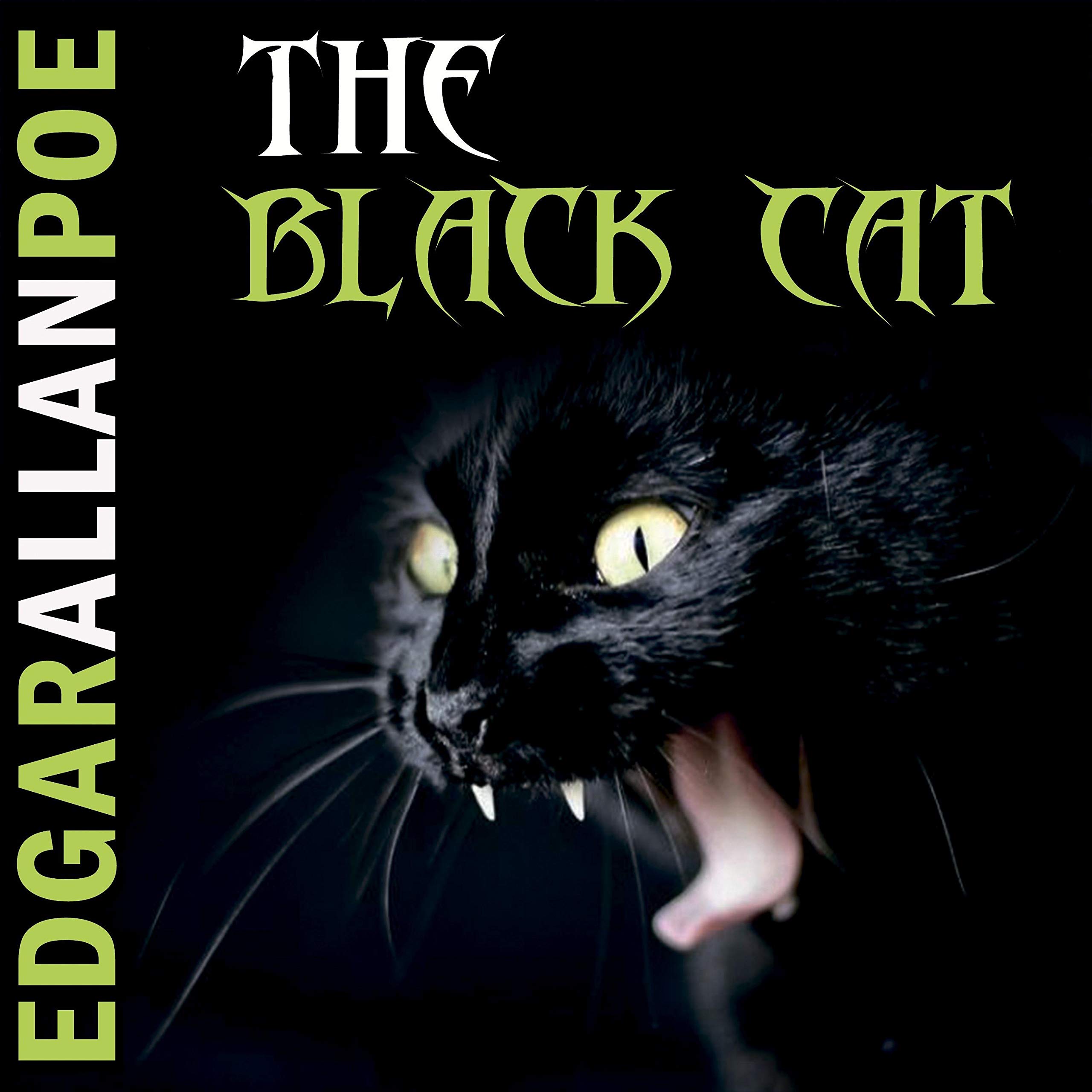 The Black Cat