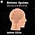 Nervous Systems: Brain Science in the Early Cold War