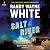 Salt River