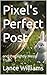 Pixel's Perfect Post : and the Slightly Messy Truth (Pixel's and Family Book 1)